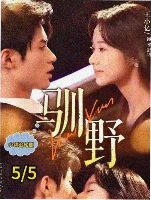 剧集第七次搬家海报